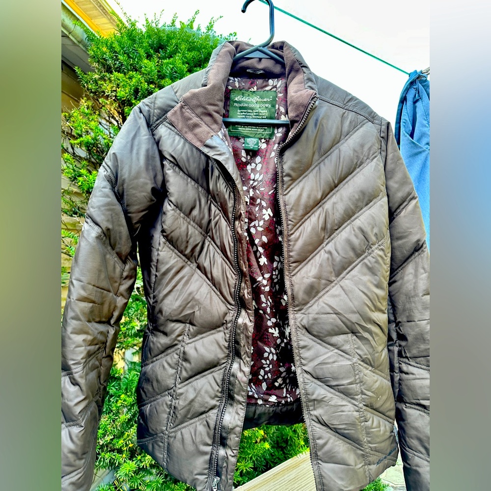 Premium Goose Down Brown Eddie Bauer Winter Coat